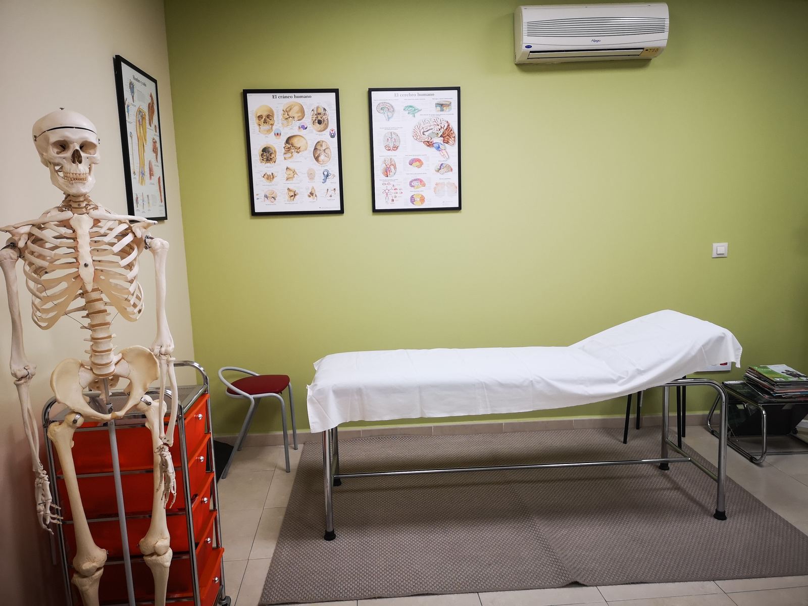Sala de fisioterapia de PhysioNova con material de anatomía